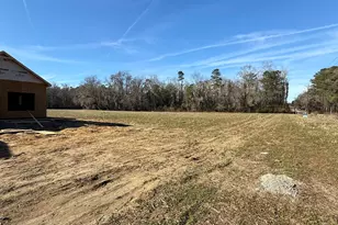 Tract 2 Hwy 668, Conway, SC 29526 - Photo 2