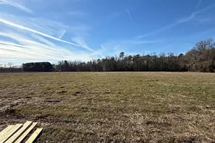 Tract 2 Hwy 668, Conway, SC 29526 - Photo 4