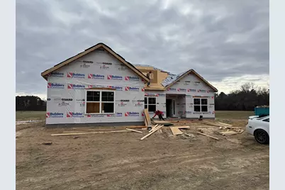 Tract 3 Highway 668, Conway, SC 29526 - Photo 12