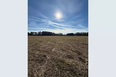 Tract 3 Highway 668, Conway, SC 29526 - Photo 6