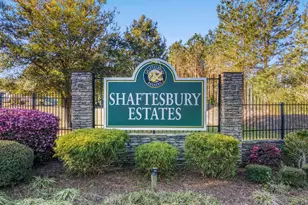 172 Board Landing Cir, Conway, SC 29526 - Photo 34