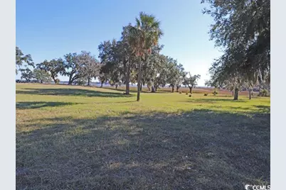 302 Chaff Ct., Georgetown, SC 29440 - Photo 22