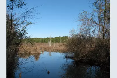 0 Keystone Rd., Dalzell, SC 29040 - Photo 14