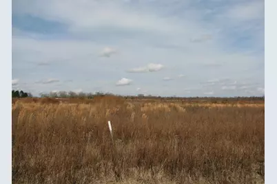 0 Keystone Rd., Dalzell, SC 29040 - Photo 8