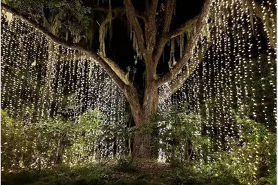 162 Westfield Circle, Conway, SC 29526 - Photo 8