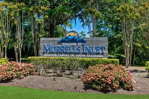 501 Ryegrass Wy, Murrells Inlet, SC 29576 - Photo 18