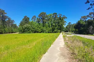 Tbd Lot B Bucksport Rd, Conway, SC 29527 - Photo 1