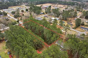 412 Jones Ave, Andrews, SC 29510 - Photo 34