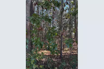 Tbd Mineola Ave., Little River, SC 29566 - Photo 8