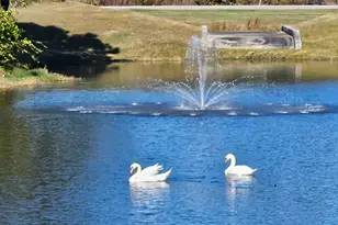 1303 Ashboro Ct, Myrtle Beach, SC 29579 - Photo 46