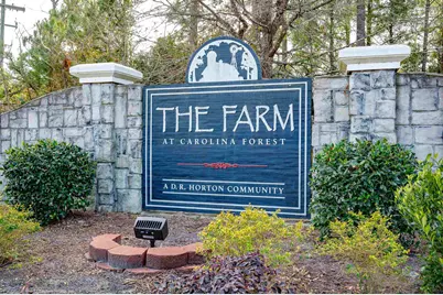 5149 Morning Frost Pl., Myrtle Beach, SC 29579 - Photo 38