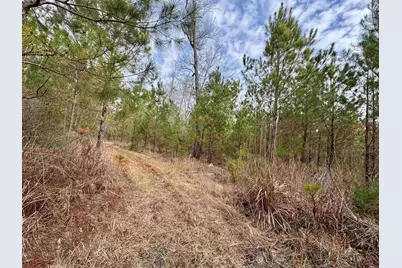 106.6 Acres-Tbd Highway 52, Salters, SC 29590 - Photo 8