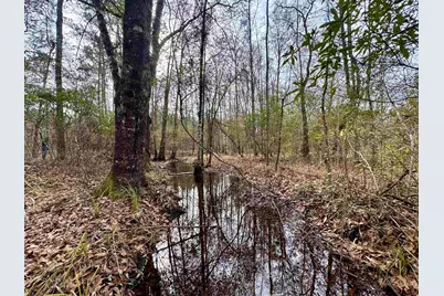 106.6 Acres-Tbd Highway 52, Salters, SC 29590 - Photo 14