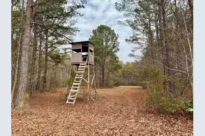 106.6 Acres-Tbd Highway 52, Salters, SC 29590 - Photo 30