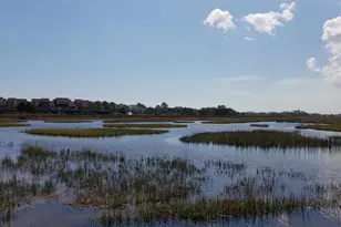 1259 Oatland Lake Rd, Pawleys Island, SC 29585 - Photo 38