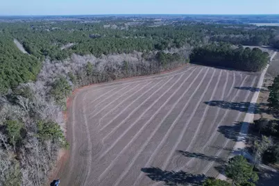 23.30 Acres-Tbd Dainty Ave, Kingstree, SC 29556 - Photo 16