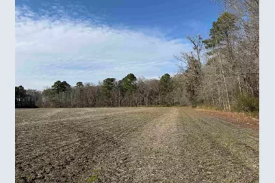 23.30 Acres-Tbd Dainty Ave, Kingstree, SC 29556 - Photo 4