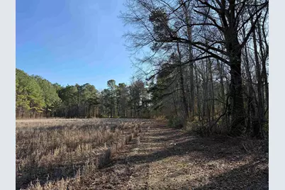 23.30 Acres-Tbd Dainty Ave, Kingstree, SC 29556 - Photo 6