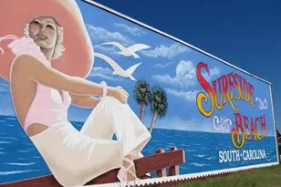 1331 Turkey Ridge Rd, Surfside Beach, SC 29575 - Photo 36