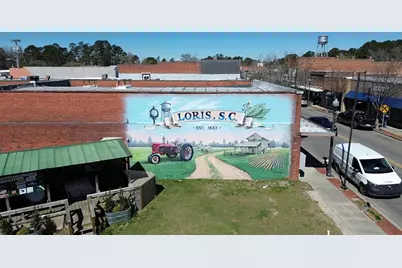 287 Long Beard Way, Longs, SC 29568 - Photo 28