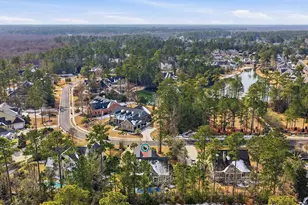 196 Low Country Loop, Murrells Inlet, SC 29576 - Photo 40