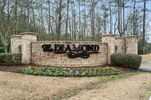 1086 Dinger Ct, Myrtle Beach, SC 29588 - Photo 48