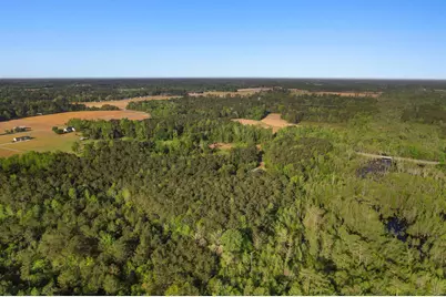 3534 Nichols Hwy., Galivants Ferry, SC 29544 - Photo 48