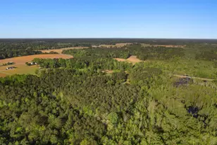 3534 Nichols Hwy, Galivants Ferry, SC 29544 - Photo 48