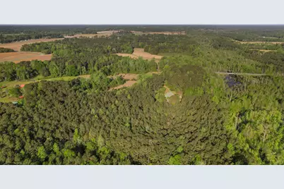 3534 Nichols Hwy., Galivants Ferry, SC 29544 - Photo 40