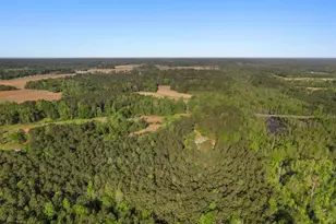 3534 Nichols Hwy, Galivants Ferry, SC 29544 - Photo 40