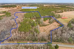 3534 Nichols Hwy, Galivants Ferry, SC 29544 - Photo 2