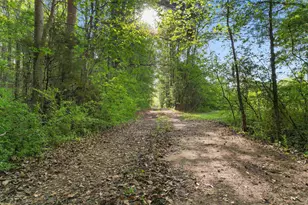 3534 Nichols Hwy, Galivants Ferry, SC 29544 - Photo 2