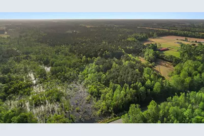 3534 Nichols Hwy., Galivants Ferry, SC 29544 - Photo 42
