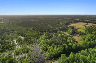 3534 Nichols Hwy, Galivants Ferry, SC 29544 - Photo 42