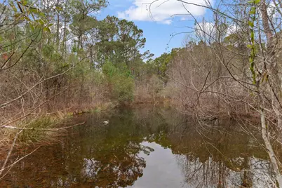 3534 Nichols Hwy., Galivants Ferry, SC 29544 - Photo 30