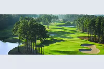 1817 Wood Stork Dr., Conway, SC 29526 - Photo 30