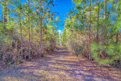 81 Silver Pond Ln, Hemingway, SC 29554 - Photo 34