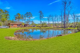81 Silver Pond Ln, Hemingway, SC 29554 - Photo 2