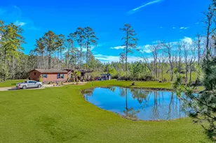 81 Silver Pond Ln, Hemingway, SC 29554 - Photo 36