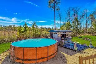 81 Silver Pond Ln, Hemingway, SC 29554 - Photo 26