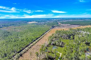 81 Silver Pond Ln, Hemingway, SC 29554 - Photo 40