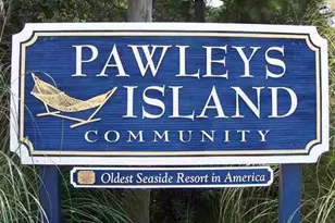 486 Camden Cir, Pawleys Island, SC 29585 - Photo 56