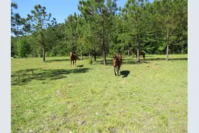 4013 Thomas Rd., Little River, SC 29566 - Photo 12