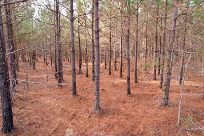 25.93Acres-4567 Dunham Rd, Bethune, SC 29009 - Photo 8