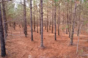 25 93Acres-4567 Dunham Rd, Bethune, SC 29009 - Photo 8