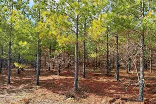 25 93Acres-4567 Dunham Rd, Bethune, SC 29009 - Photo 6