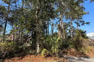 958 Tiffany Ln, North Myrtle Beach, SC 29582 - Photo 1