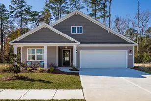 3045 Berry Bush Way, Conway, SC 29526 - Photo 1