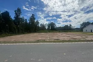 200 Zion Rd, Galivants Ferry, SC 29544 - Photo 30