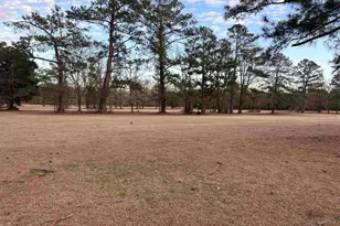 10716 County Line Rd, Andrews, SC 29510 - Photo 14